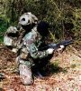 sas.jpg