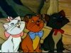 kittens-in-awe resized.jpg