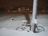 bike and olin.jpg
