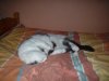 picture 010.jpg