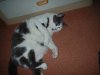 picture 013.jpg