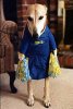 dog_cheerleader.jpg