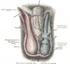 image1143.jpg